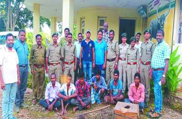 Police arrest 6 accused for smuggling baby leopard in Raipur उदंती सीतानदी अभ्यारण्य से पकड़े गए थे शावक, पुलिस ने 6 आरोपियों को भेजा जेल