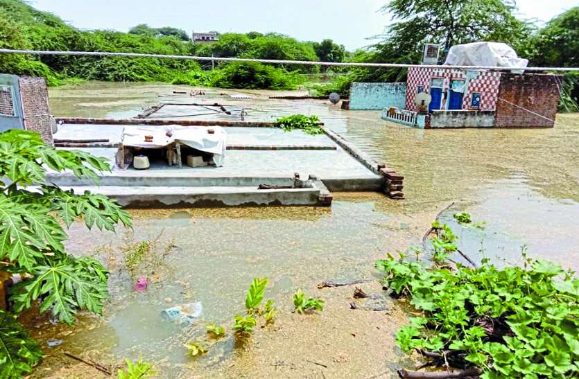 chambal Flood visit in shivraj singh chauhan today चंबल में आई बाढ़ से 110 गांव घिरे, तोमर और शिवराज थोड़ी देर में करेंगे हवाई सर्वेक्षण