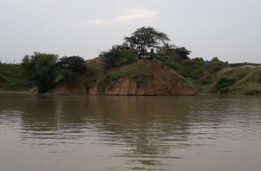बाढ़ से बचने ऊंचे टीलों पर ली शरण बाढ़ से बचने ऊंचे टीलों पर ली शरण