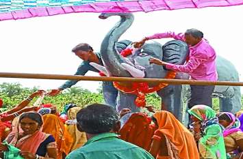 Villagers made elephant statue Mahasamund Chhattisgarh हाथियों के आतंक को रोकने ग्रामीणों ने बनाई मूर्ति, विधि विधान से पूजा कर लोगों ने कहा- मूर्ति देखकर अब नहीं करेंगे...