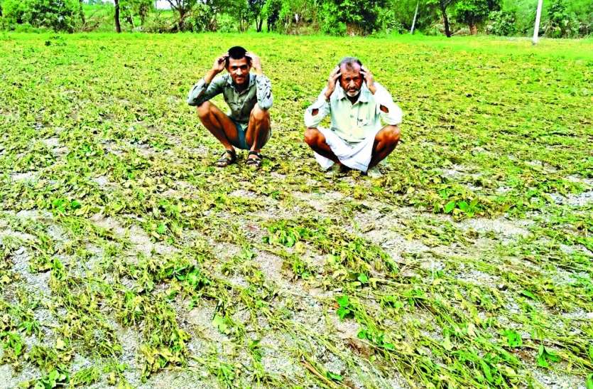 राहत के लिए साढ़े चार करोड़ के प्रकरण तैयार राहत के लिए साढ़े चार करोड़ के प्रकरण तैयार