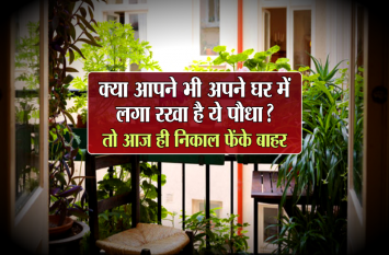 Vastu tips for planting trees: dont palnt this at your house क्या आपने भी अपने घर में लगा रखा है ये पौधा? तो आज ही निकाल फेंके बाहर