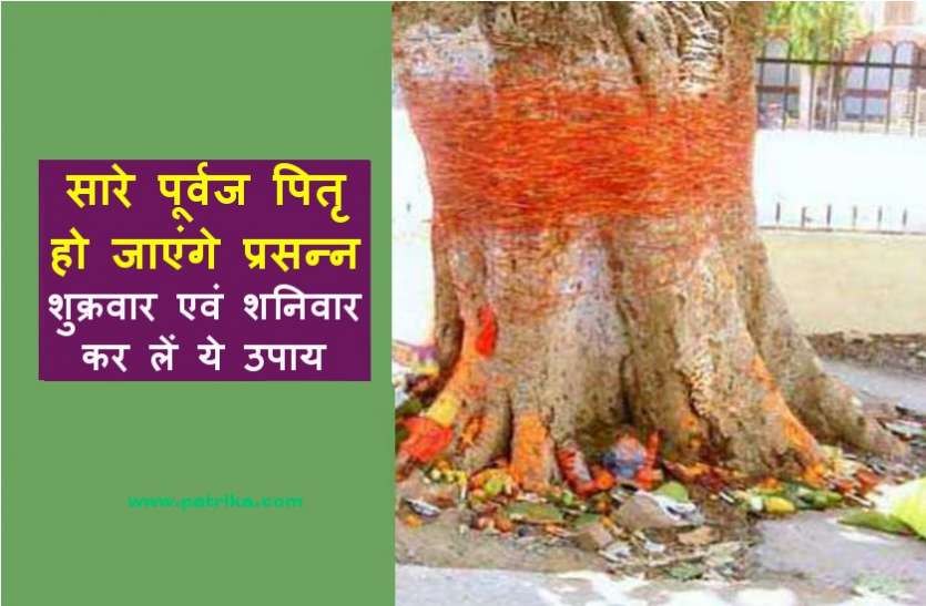 शुक्रवार एवं शनिवार की शाम कर लें ये उपाय, सारे पूर्वज पितृ हो जाएंगे प्रसन्न, करेंगे हर कामना पूरी शुक्रवार एवं शनिवार की शाम कर लें ये उपाय, सारे पूर्वज पितृ हो जाएंगे प्रसन्न, करेंगे हर कामना पूरी