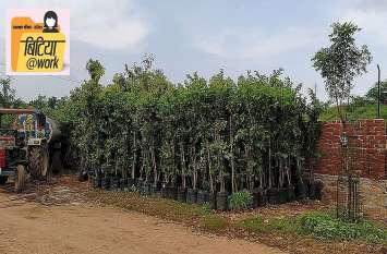 Daughters garden will develop in Dungarpur, bitiyawork डूंगरपुर में बनेगी ‘दीकरियों नी वाड़ी’