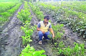 Heavy Rain Heavy Rain: बारिश से आफत: कर्ज लेकर लगाई फसल, मुनाफा तो दूर लागत भी नहीं मिली