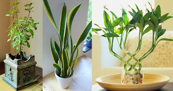 vastu tips for home