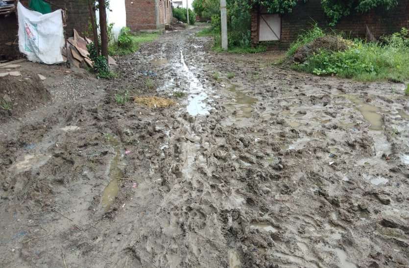 People of this village are forced to live in the mud इस गांव के लोग कीचड़ के बीच रहने के लिए मजबूर, पढ़ें खबर