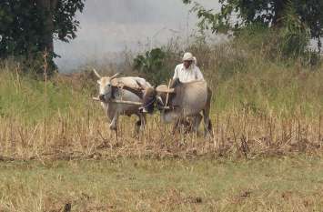 Registration of farmers for purchase of paddy and coarse grains धान एवं मोटा अनाज खरीदी के लिए किसानों का हो रहा पंजीयन