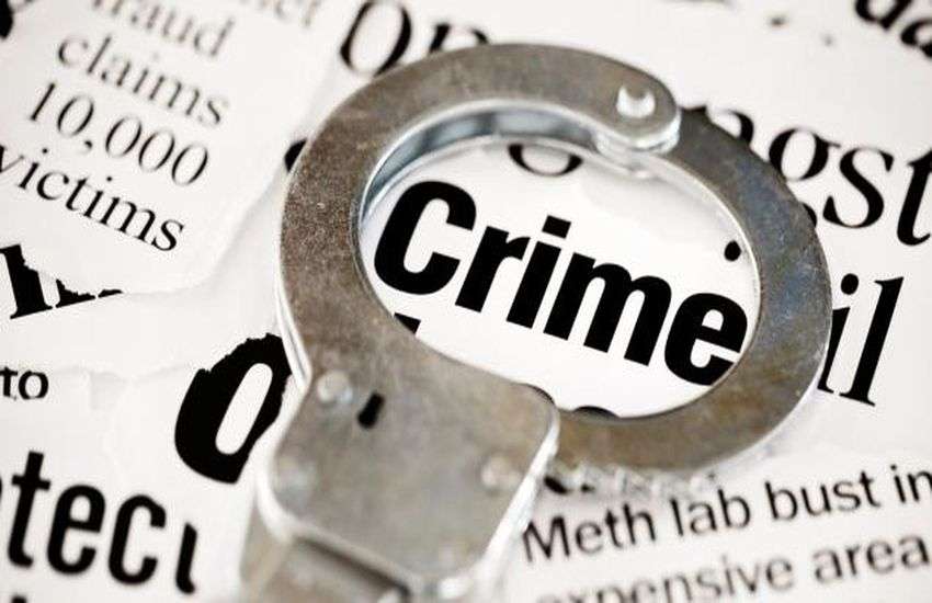 Surat News; श्वानों के हमले में 150 भेड़ों की मौत