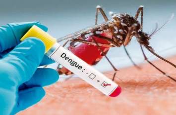 dengue in 50 patients of indore, alert for congo fever in mp 50 से ज्यादा लोगों को हुआ डेंगू, MP में कांगो बुखार का भी अलर्ट, डॉक्टरों की चिंता बढ़ी