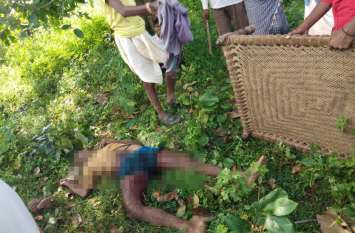 Elephants attack: Elephants crushed villager, death आधी रात गांव में घुस गए 18 हाथी तो सब भागने लगे इधर-उधर, 1 पकड़ में आ गया तो कुचलकर ले ली जान