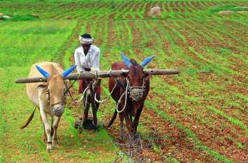farmers become problem in new software किसानों के लिए बाधक बन रहा नया सॉफ्टवेयर, यह है खास वजह