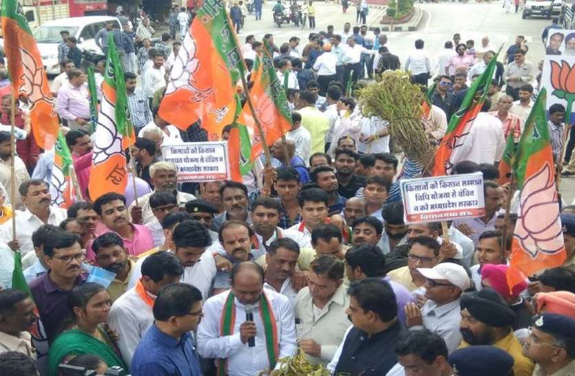 VIDEO : हाथों में बारिश से खराब फसल लेकर पहुंचे भाजपा कार्यकर्ता, सरकार के खिलाफ की नारेबाजी VIDEO : हाथों में बारिश से खराब फसल लेकर पहुंचे भाजपा कार्यकर्ता, सरकार के खिलाफ की नारेबाजी