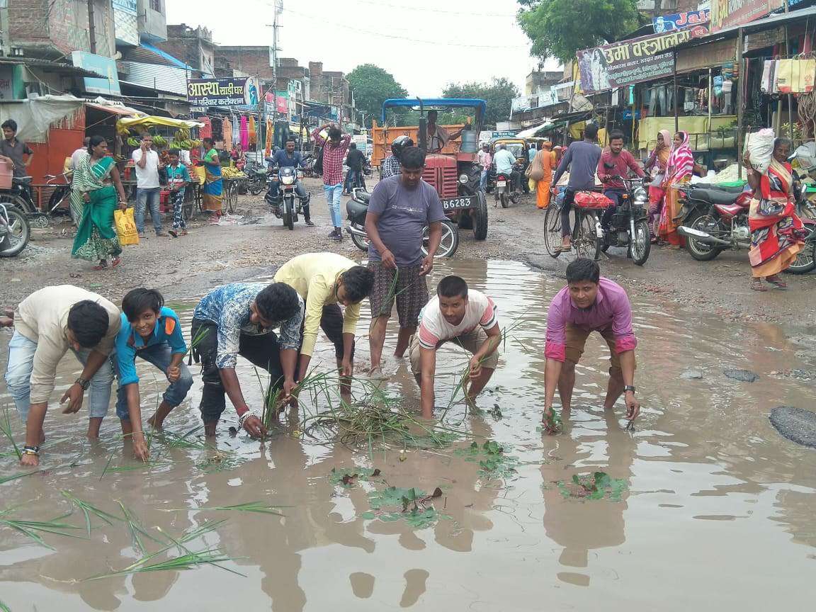 टूटी सड़क पर जलजमाव से राह चलना दूभर, गुस्साएं लोगों ने रोपाई कर जताया विरोध