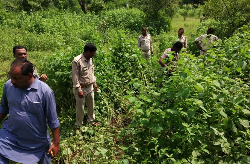 Missing wood investigation started तीन युवतियां सहित छह लोग लापता