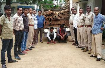 Wood smuggling: 2 wood smugglers arrested with pickup फिल्मी स्टाइल में पीछा कर फॉरेस्ट कर्मियों ने पिकअप को पकड़ा, झांक कर देखा तो ऐसा था नजारा