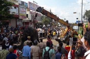 Elephant death on CAD Circle in Kota डेढ़ घंटे मौत से संघर्ष, जिंदगी से हारा हाथी, जिम्मेदारों ने मुंह फेरा, लोगों का हुजूम, जेब कटी तो लोगों ने की धुनाई