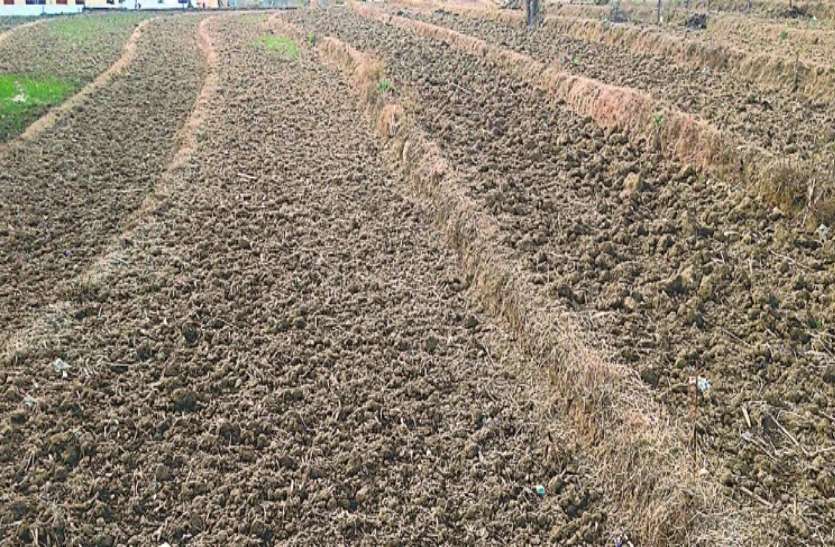 पति-पत्नी की मौत के बाद 26 बीघा जमीन के लिए कोर्ट ने सुनाया अहम फैसला, पढ़ें पूरी खबर पति-पत्नी की मौत के बाद 26 बीघा जमीन के लिए कोर्ट ने 25 साल बाद सुनाया अहम फैसला