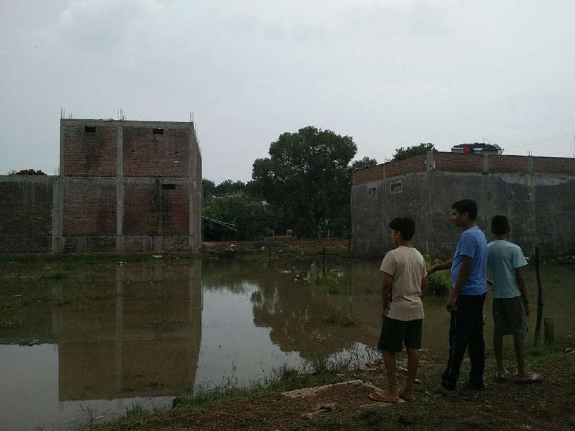 एक ऐसी कॉलोनी, जहां सड़क है न नाली, बिजली के खंभे हैं तो तार नहीं