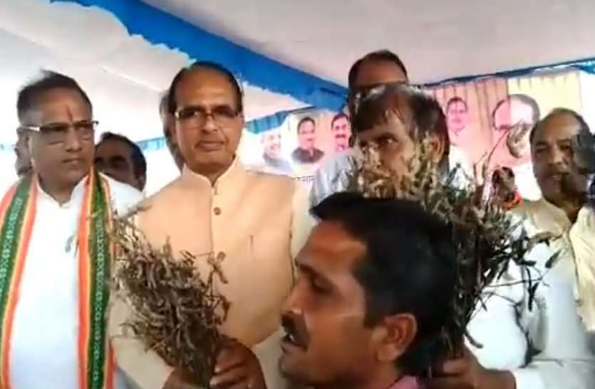 shiv.jpg मंदसौर में शिवराज सिंह धरने पर बैठे, बोले- बाढ़ पीड़ितों को जल्दी मिले मुआवजा