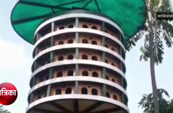 Ghaziabad Bird Flat made by gda in uttar pradesh Ghaziabad: 2 लाख रुपये में बने चिड़ियों के फ्लैट, वीडियो में देखें पक्षियों के घर