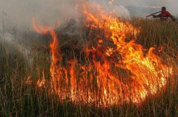 #Indonesia#forest#fire#Singapore#Malaysia's#full#breath# सुलगे इंडोनेशिया के जंगल, सिंगापुर मलेशिया की फूली सांसें