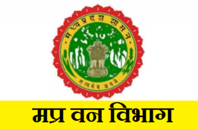 forest depatrment seoni news 50 हजार का 18 नग अवैध सागौन चिरान वाहन सहित जप्त