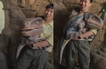 Video of this animal is being seen a lot on Tik Tok टिक टॉक पर काफी देखा जा रहा है इस जानवर का वीडियो, देखकर आप हैरान रह जाएंगे