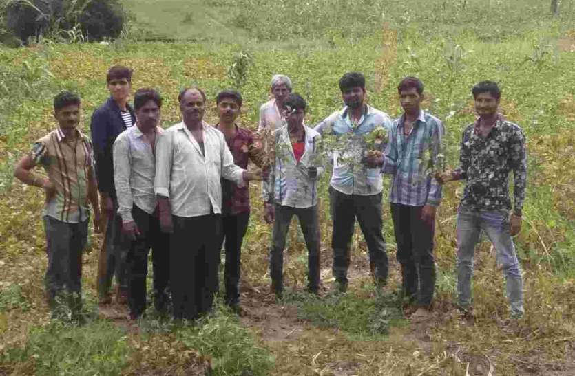 पंचायत समिति की बैठक में उठा फसल खराबा का मुद्दा पंचायत समिति की बैठक में उठा फसल खराबा का मुद्दा