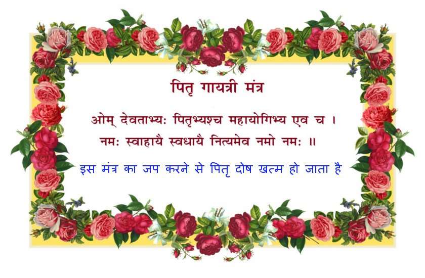 सर्व पितृ मोक्ष अमावस्या के दिन घर के आंगन में कर लें ये उपाय, खुब आशीर्वाद देकर जाएंगे सारे पितृगण