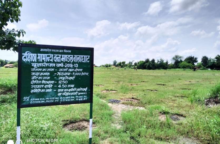 शिक्षा और वन विभाग के बीच जमीनी विवाद शिक्षा और वन विभाग के बीच जमीनी विवाद
