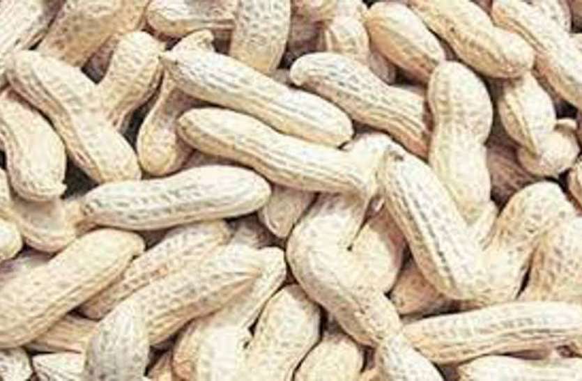 Ahmedabad news: जानिए गुजरात में कब से शुरू हो रहा है मूंगफली खरीदी के लिए रजिस्ट्रेशन Ahmedabad news: जानिए गुजरात में कब से शुरू हो रहा है मूंगफली खरीदी के लिए रजिस्ट्रेशन