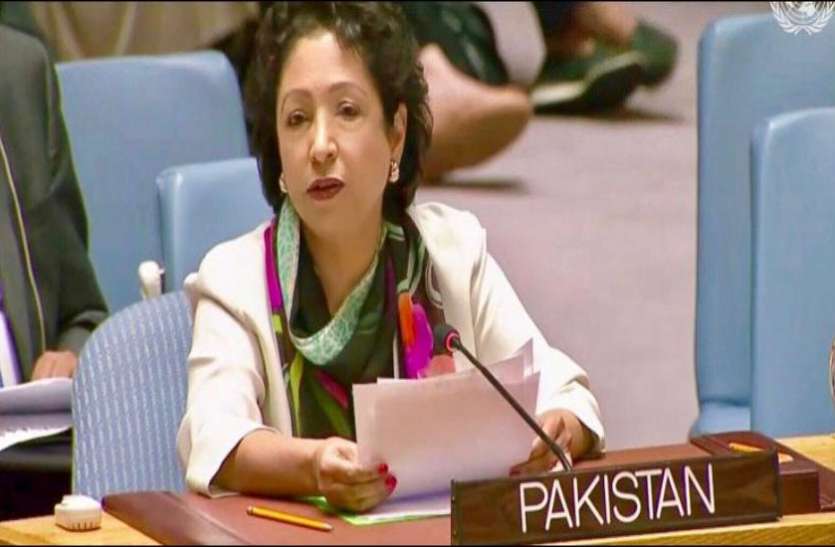 maleeha.jpg UN में पाक राजदूत मलीहा लोधी ने ब्रिटिश PM जॉनसन को बताया विदेश मंत्री, मांगनी पड़ी माफी