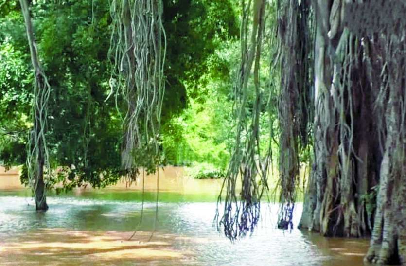 फिर सैलानियों से चहकेगा बारालीकाडु फिर सैलानियों से चहकेगा बारालीकाडु