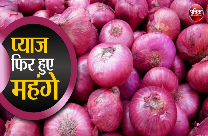 Onion Price फिर रूलाने वाला है प्याज, दाम आसमान पर पहुंचना शुरू, यहां देखिए ताजा दाम