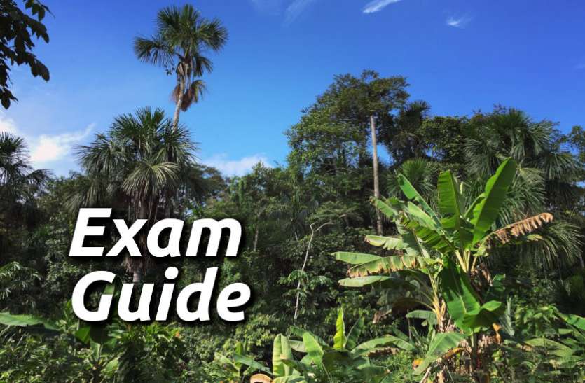 Education, interview, exam, online test, rojgar samachar, interview tips, online exam, Mock Test, general knowledge, GK, interview questions, jobs in hindi, rojgar, competition exam, mock test paper, sarkari job, questions Answers, GK mock test, Exam Guide, General Science Questions, Questions and answers, common general knowledge questions and answers, common general knowledge questions and answers Exam Guide: इस टेस्ट से चेक करें अपने GK एग्जाम की तैयारी