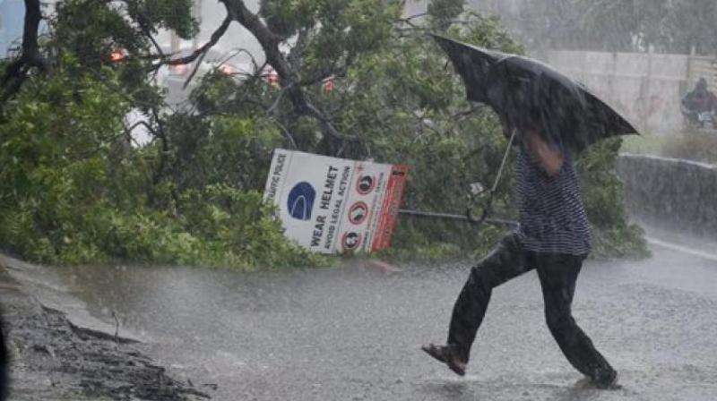 rain.jpeg