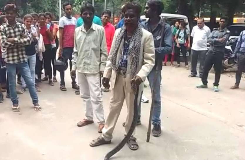 VIDEO : गर्ल्स कॉलेज में निकला घोड़ापछाड़ सांप, देखकर सहम गई छात्राएं VIDEO : गर्ल्स कॉलेज में निकला घोड़ापछाड़ सांप, देखकर सहम गई छात्राएं