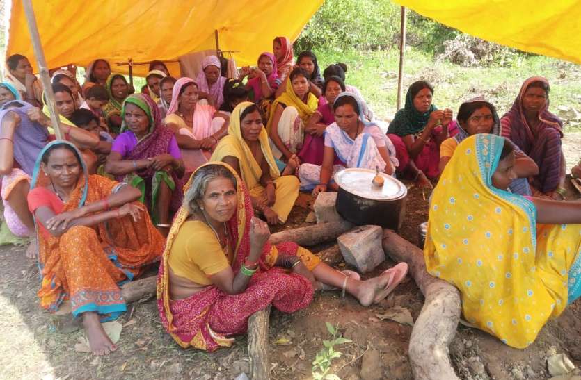 चौथा दिन : जंगल में कडू कंद खाकर आदिवासी ग्रामीण बिता रहे समय चौथा दिन : जंगल में कडू कंद खाकर आदिवासी ग्रामीण बिता रहे समय