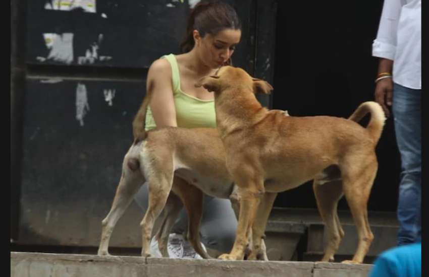 shraddha_kapoor__with_dog.jpg