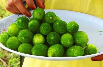 kantola is best vegetable for health,it has more protien than non veg इस सब्जी को खाते ही फौलाद जैसा बन जाएगा शरीर, होंगे ये 10 फायदे