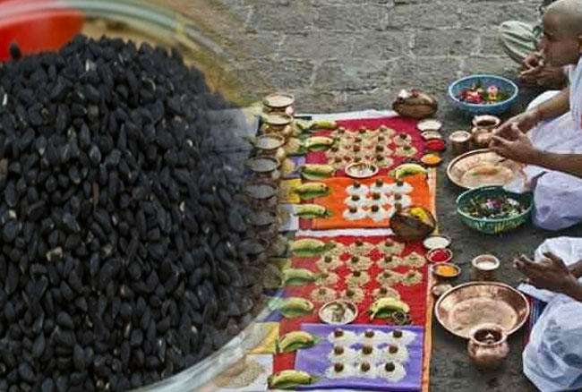 pitru moskha amavasya
