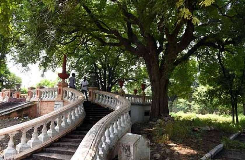 111 बरस पहले आया था जलजला, पेड़ ने बचाई थी 150 जानें