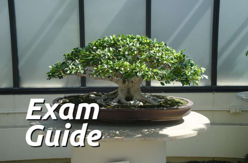 Education, interview, exam, online test, rojgar samachar, interview tips, online exam, Mock Test, general knowledge, GK, interview questions, jobs in hindi, rojgar, competition exam, mock test paper, sarkari job, questions Answers, GK mock test, Exam Guide, General Science Questions, Questions and answers, common general knowledge questions and answers, common general knowledge questions and answers Exam Guide: इन ऑनलाइन एग्जाम से चेक करें अपनी प्रतियोगिता परीक्षा की तैयारी