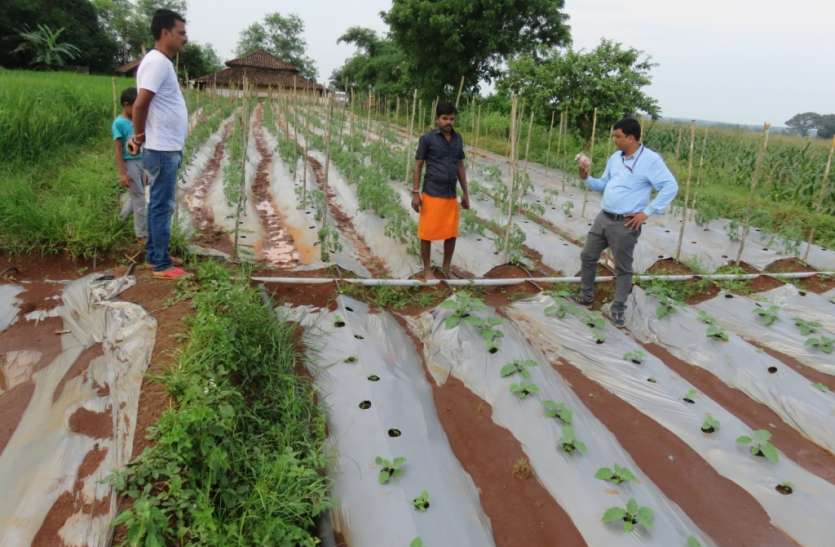 खेतों में नालियां बनाकर करें जल निकासी खेतों में नालियां बनाकर करें जल निकासी