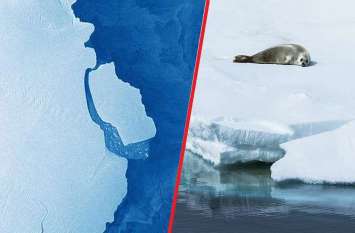 billion tonne iceberg breaks off Antarctica दुनिया के लिए खतरा बना ये आइसबर्ग, क्षेत्रफल राजधानी दिल्ली से भी बड़ा