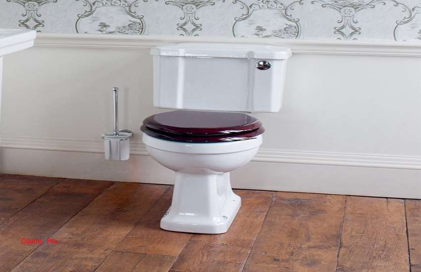toilet2.jpg