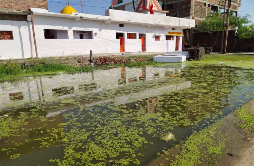 Dengue patient found in Jawahar ward