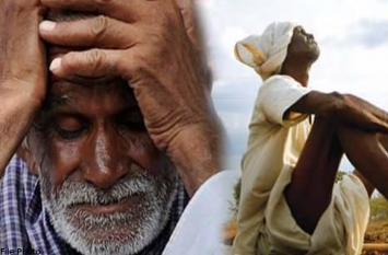 Rain In Telangana And Andhra Pradesh Ruins Crops चक्रवाती तूफान तेलुगु राज्यों के किसानों पर पड़ा भारी, हुआ यह बड़ा नुकसान