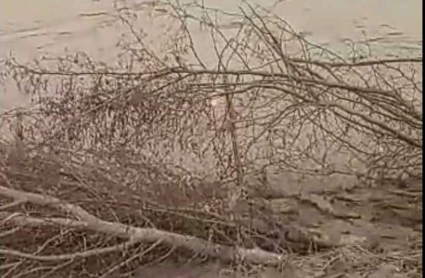 500 हेक्टेयर खेतों में जमी रेत की परत 500 हेक्टेयर खेतों में जमी रेत की परत